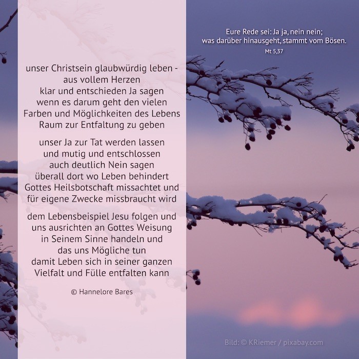 Bildimpuls_6_So_A_2026 (c) Hannelore Bares Bildimpuls_6_So_A_2026