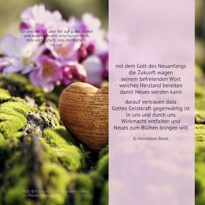 Blumen mit einem Herz aus Holz, daneben steht der Impulstext (c) Hannelore Bares Blumen mit einem Herz aus Holz, daneben steht der Impulstext
