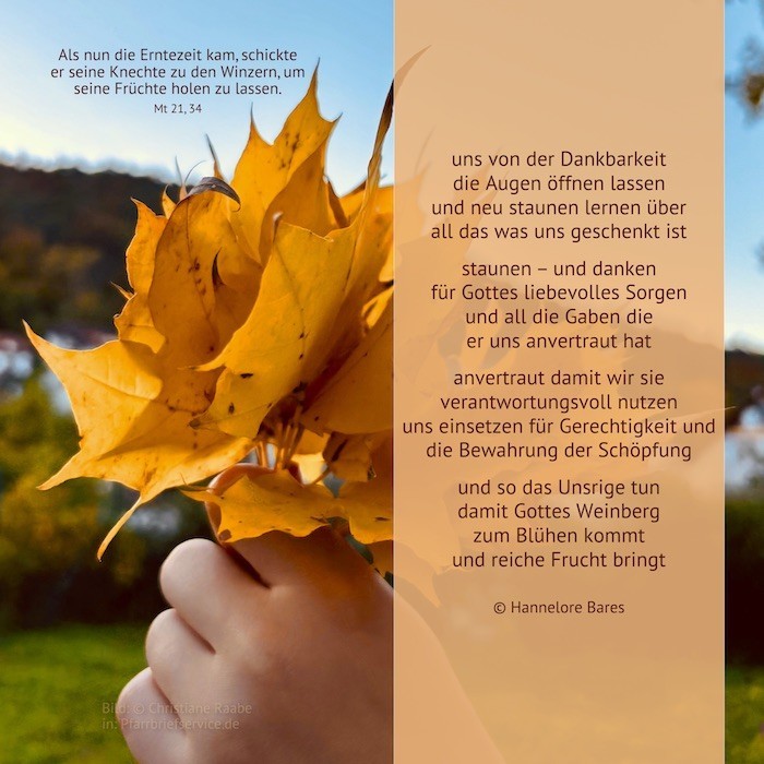 Bildimpuls_27-Sonntag (c) Hannelore Bares Eine Hand hält Laub in der Hand wie einen Blumenstrauß. Daneben steht der Impulstext.