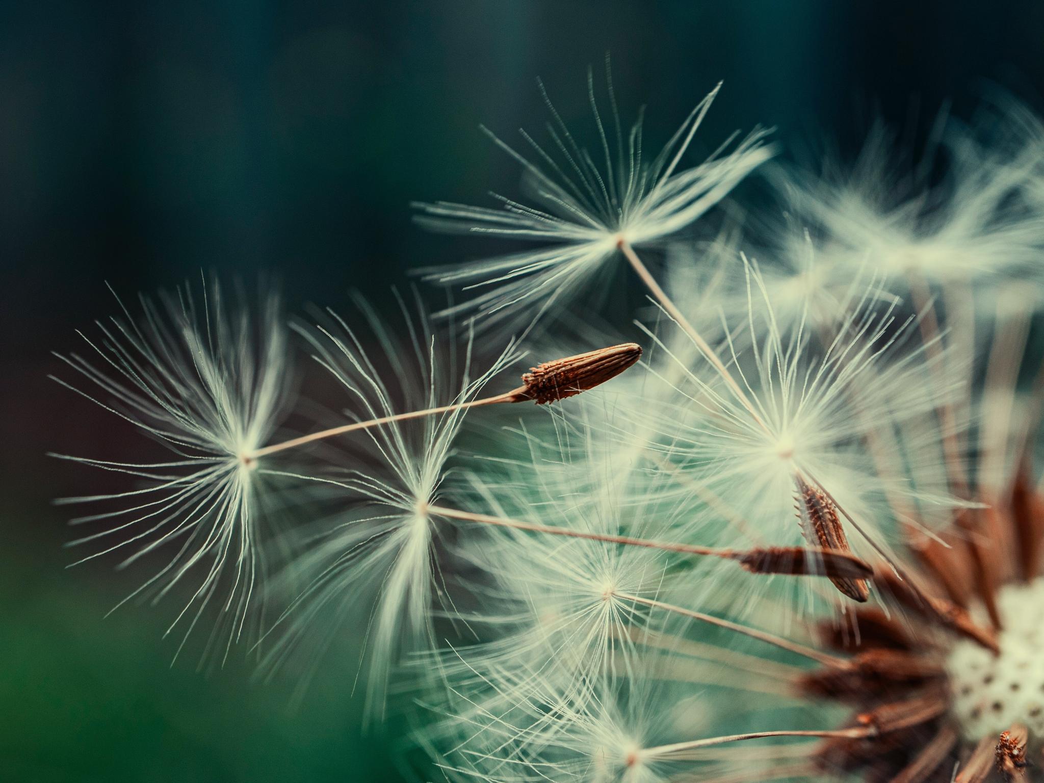 gidlark-NTeC878RUlw-unsplash (c) Олександр К auf Unsplash gidlark-NTeC878RUlw-unsplash