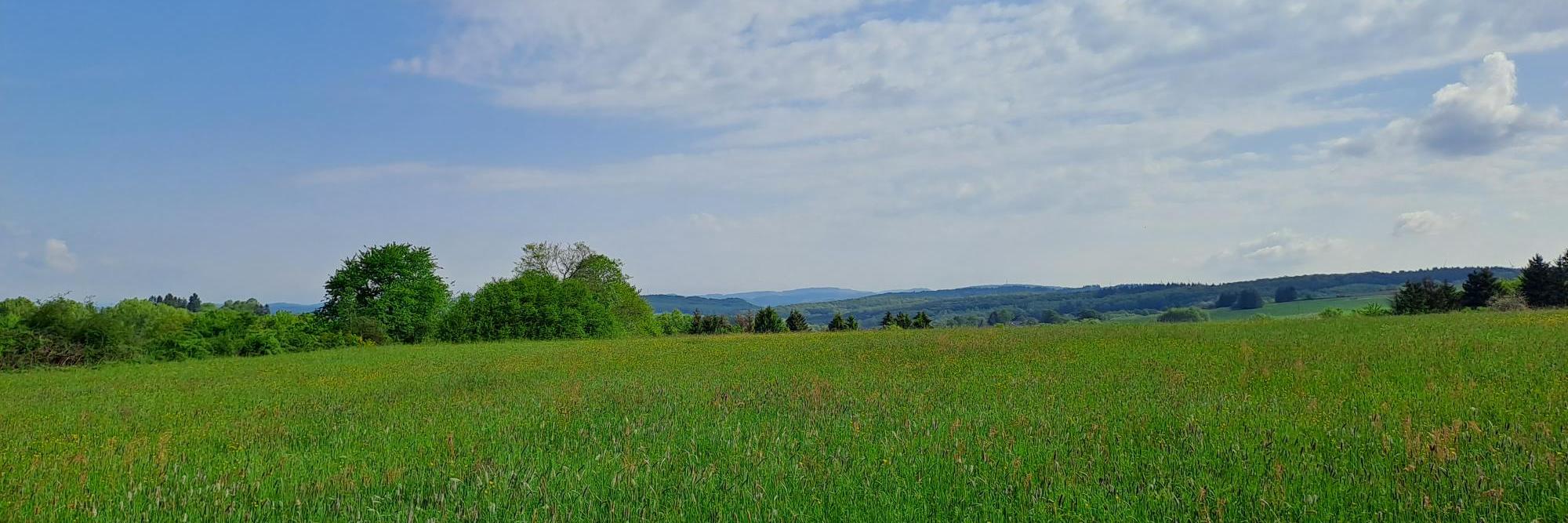 Man sieht einen Himmel mit Schleierwolken und eine grüne Wiese mit Hügeln im Hintergrund