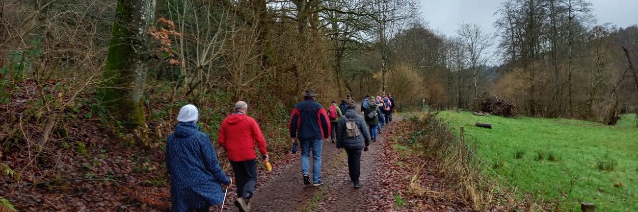 Pilgergruppe ist unterwegs auf einem unbefestigten Weg an einer Weide entlang.