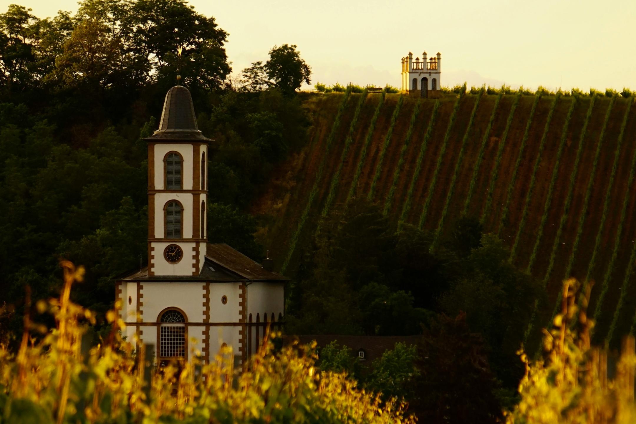 Eine Kirche inmitten eines Weinbergs