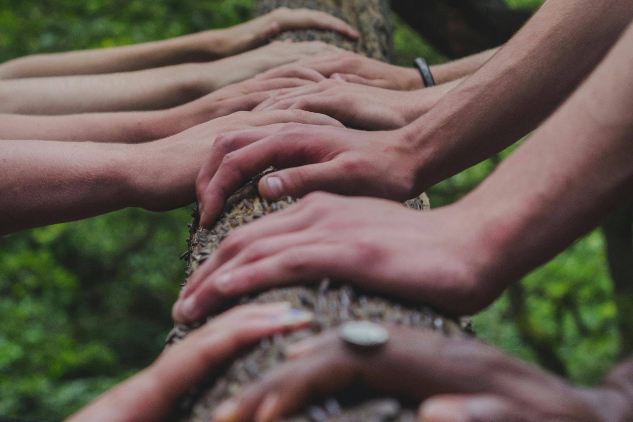 Eine Gruppe von Menschen, die sich auf einem Baum an den Händen halten